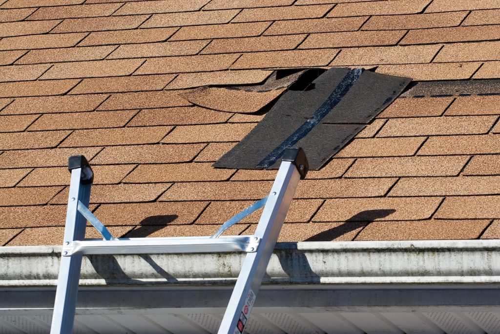 Roof Cleaning 