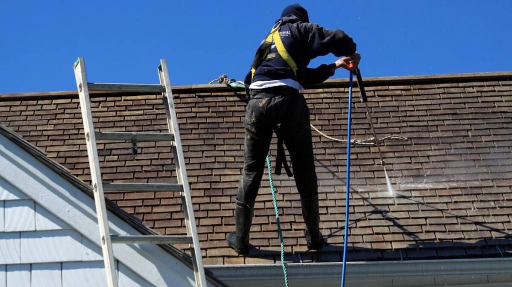 Roof Moss Removal